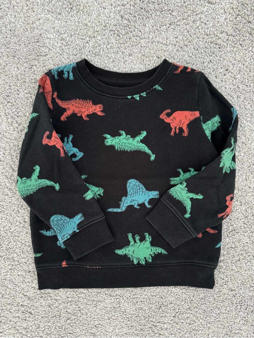 Black Dinosaur Print Kids Sweatshirt
